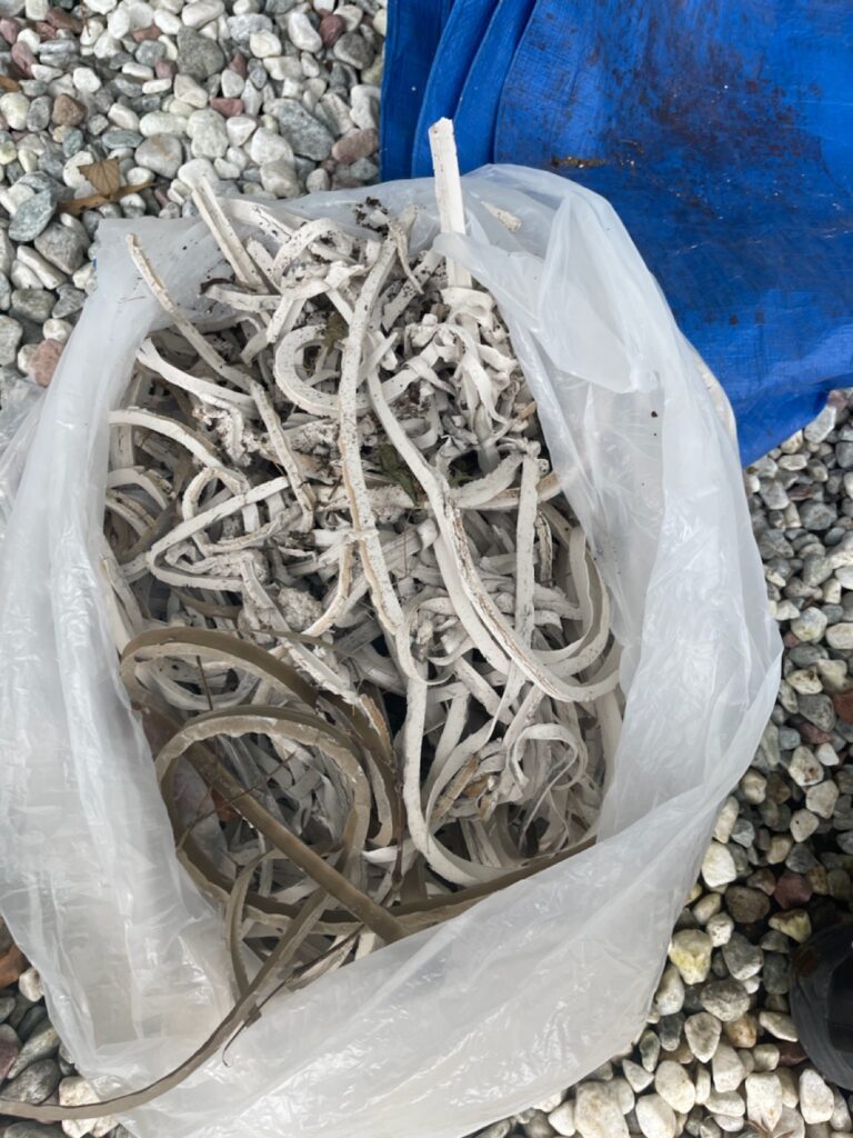 既存コーキング撤去