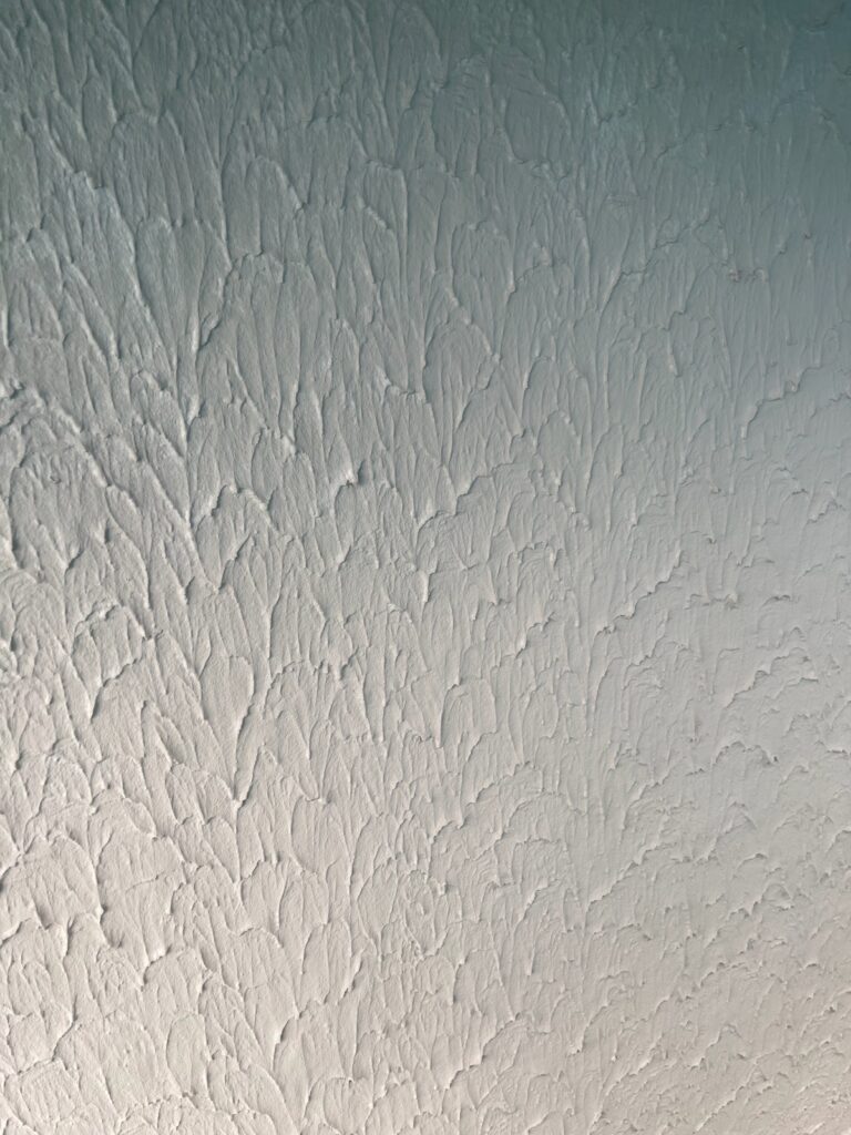 外壁上塗り完了