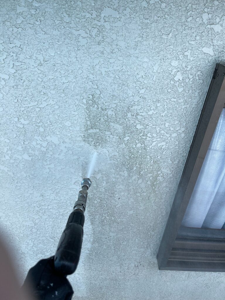 外壁洗浄<br />
（表面のコケやカビをしっかりと落としました。）