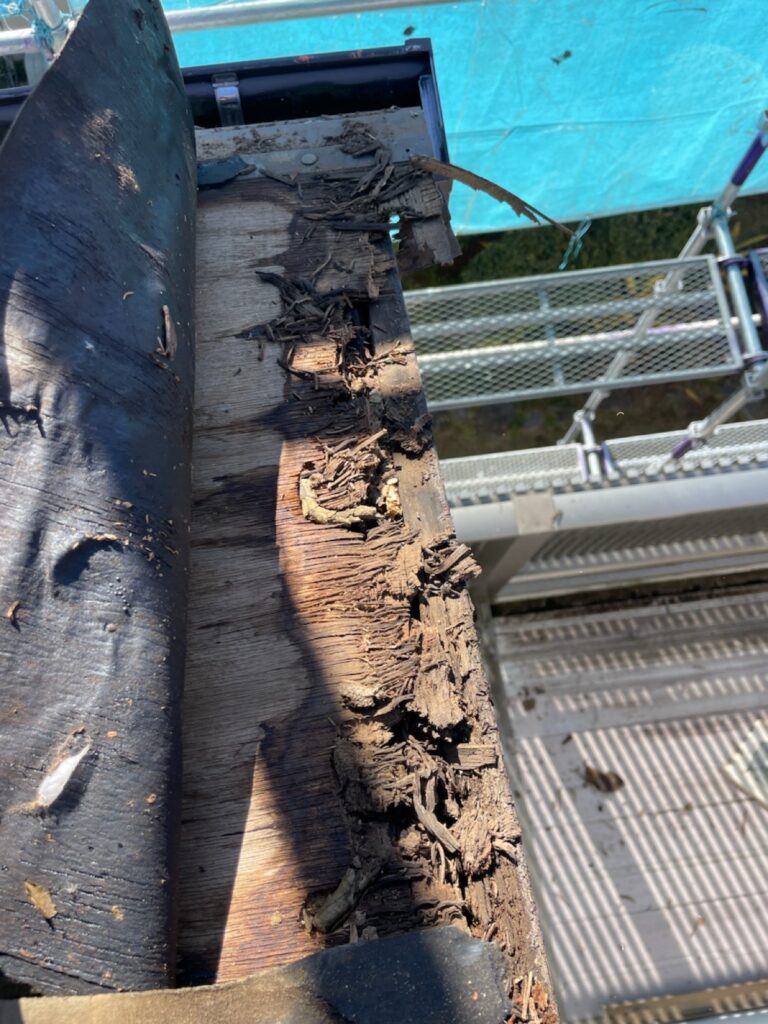 既存の屋根下地<br />
（経年劣化により下地がふかふかになっていました。）