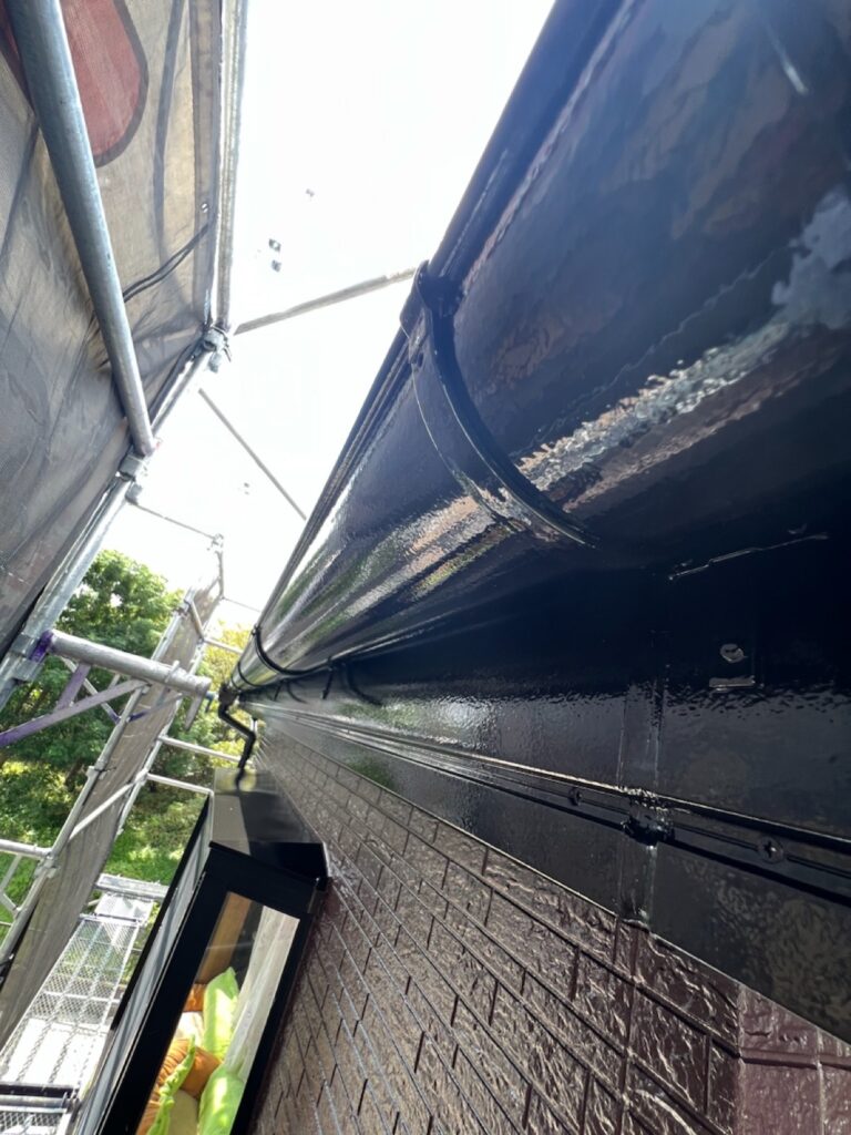 雨樋・鼻隠し上塗り（完了）