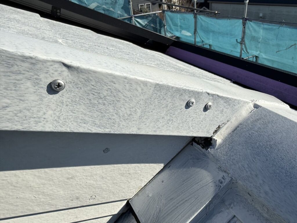 屋根板金のビス打ち込み<br />
（専用のパッキン付きビスを使用し補強しました。）