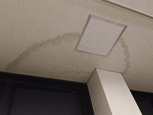 雨漏りサインで早期解決