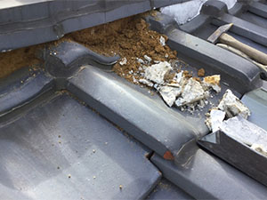 動物の浸入を防ぎ住まいを守る